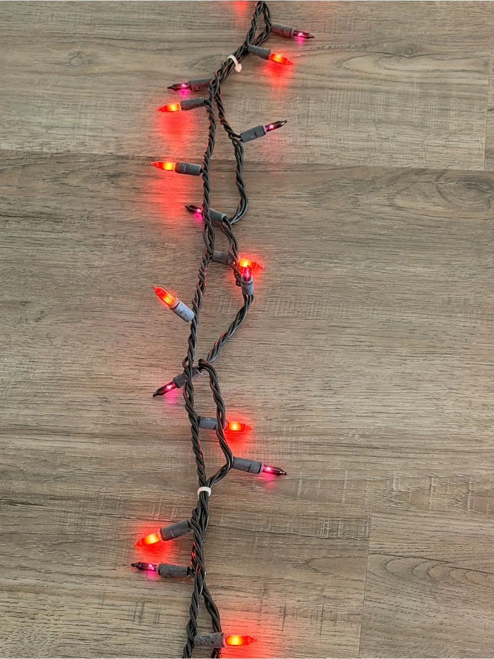 Orange (2) & Purple (2) Holiday String Lights -  25’ each